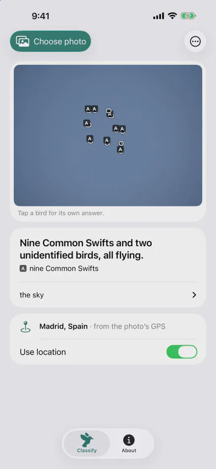 Classify screen: a flock against the sky with each bird boxed, answered as nine Common Swifts and two unidentified birds