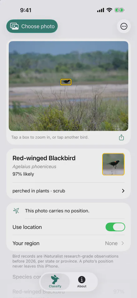 Classify screen: a Red-winged Blackbird, 97% likely, from a photo that carries no position