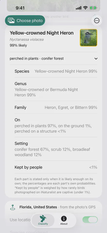 Answer details for the night heron: likelihoods for species, genus and family, what it is perched on, and the setting